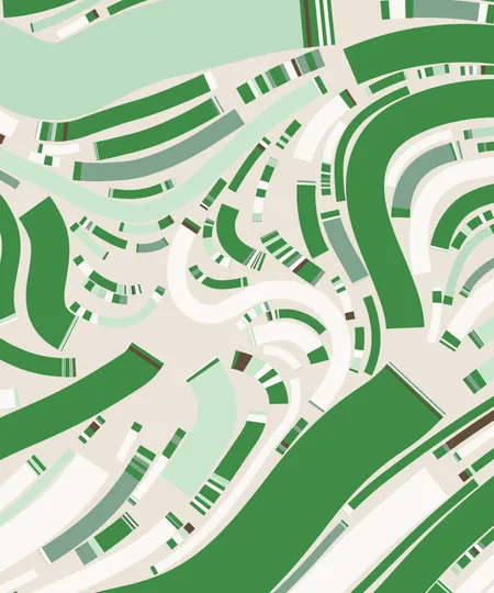 Green illustration of a fidenza NFT for custom feature development service