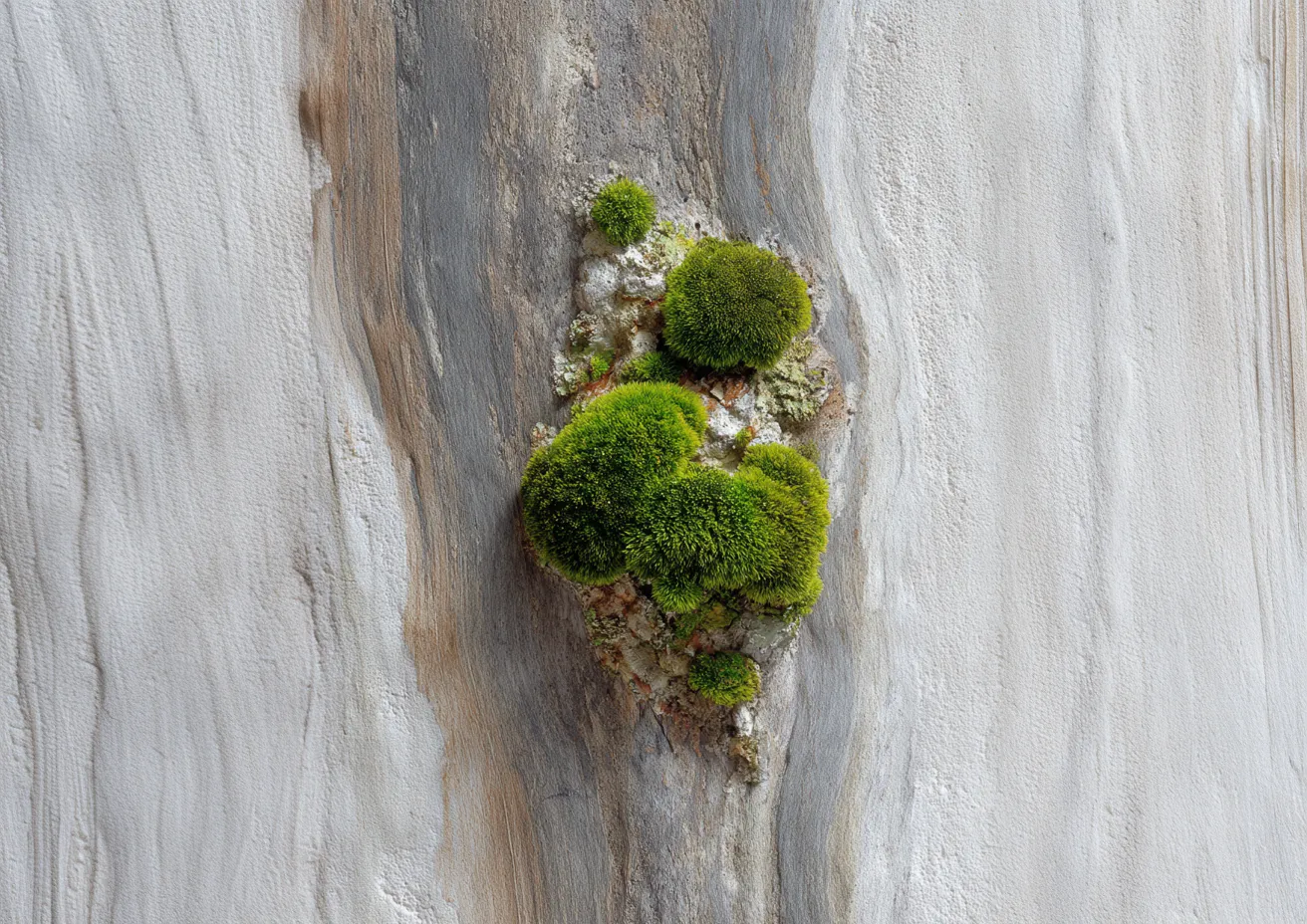 Conseils SEO pour expert-comptable : le guide 2026 pour attirer des clients sur Google